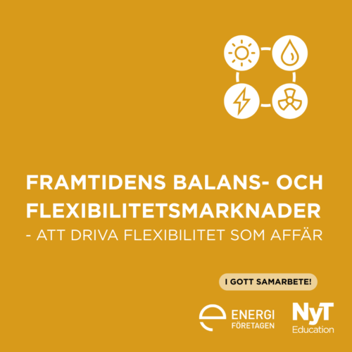 Framtidens balans- och flexibilitetsmarknader - Att driva flexibilitet som affär i energisystemet