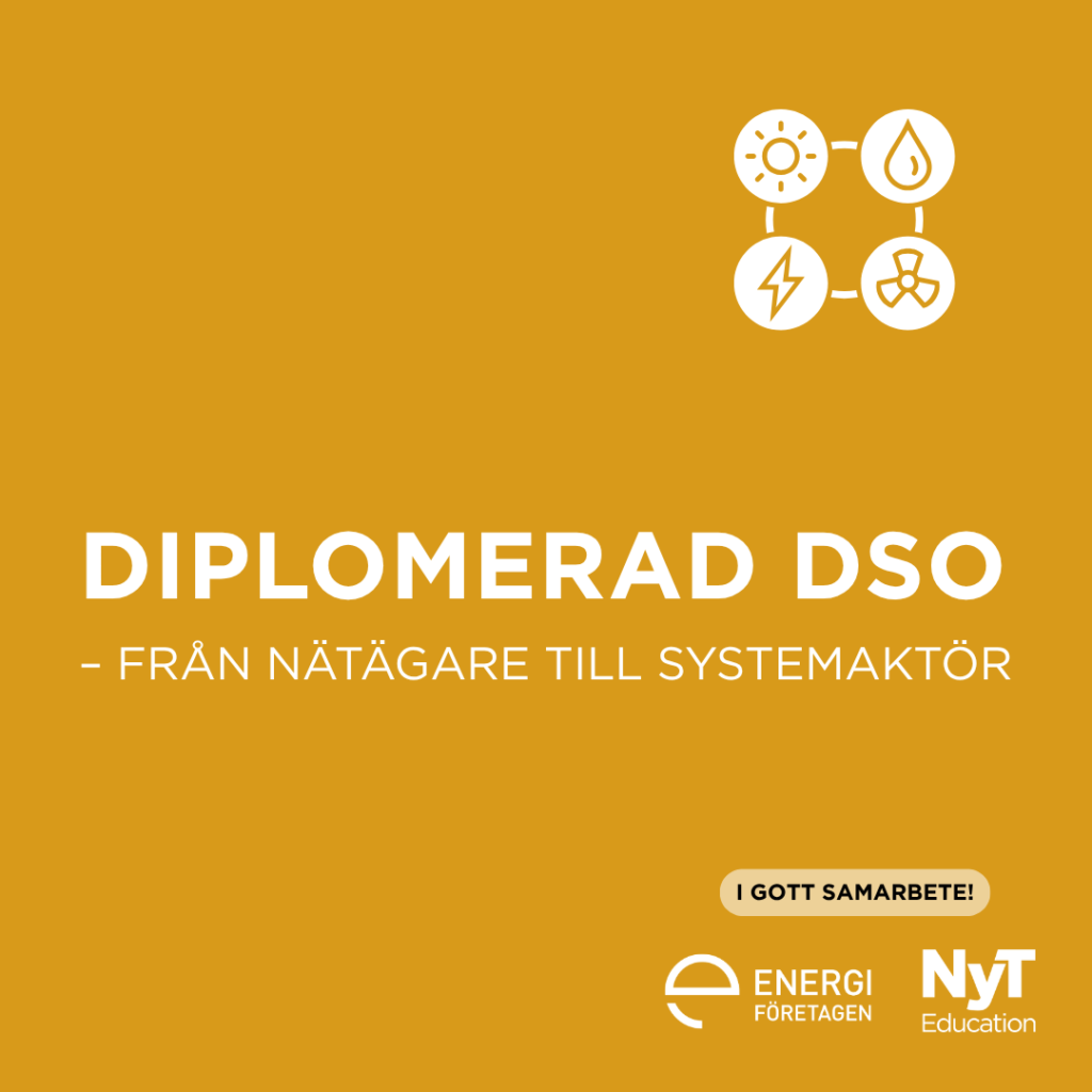Diplomerad DSO