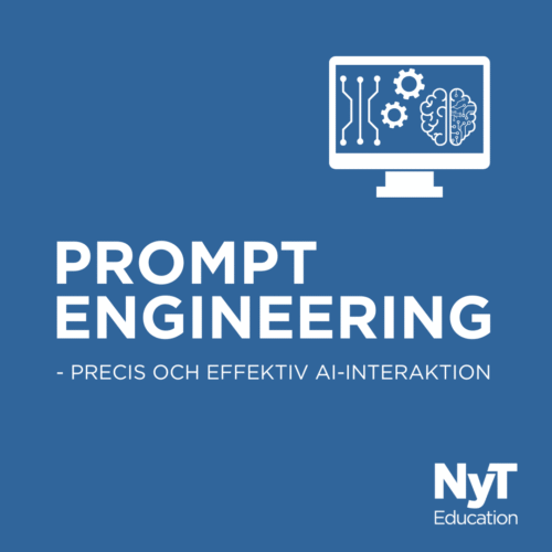 Prompt Engineering
