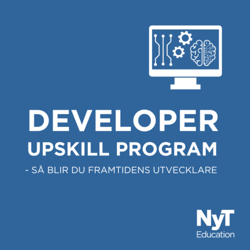 Developer Upskill Program