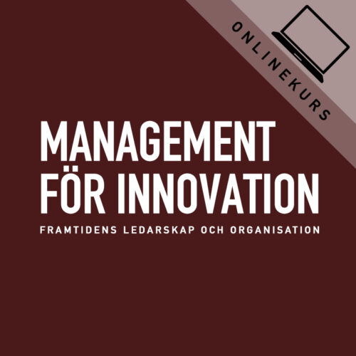 Management för innovation / On Demand