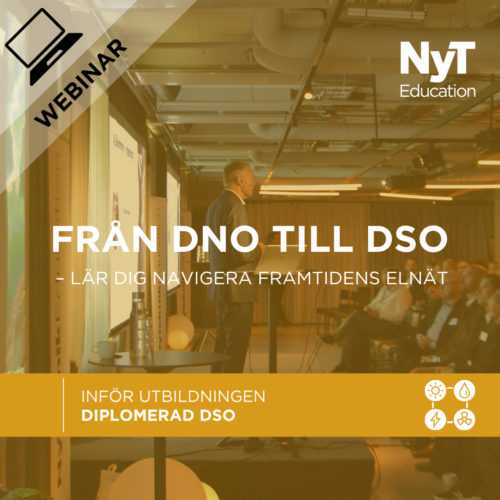 Webinar DSO - Framtidens Elnät